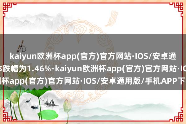 kaiyun欧洲杯app(官方)官方网站·IOS/安卓通用版/手机APP下载全体跌幅为1.46%-kaiyun欧洲杯app(官方)官方网站·IOS/安卓通用版/手机APP下载