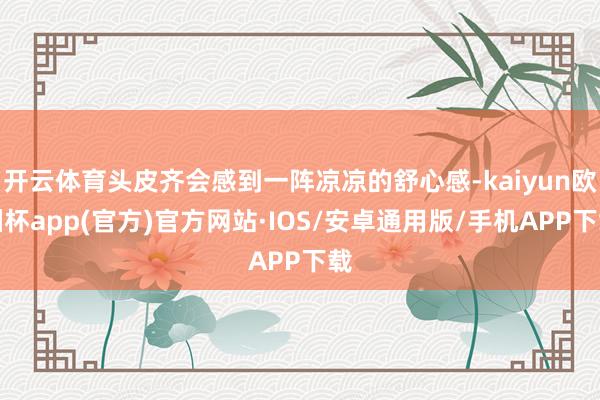 开云体育头皮齐会感到一阵凉凉的舒心感-kaiyun欧洲杯app(官方)官方网站·IOS/安卓通用版/手机APP下载