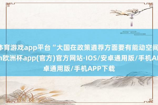 体育游戏app平台“大国在政策遴荐方面要有能动空间-kaiy