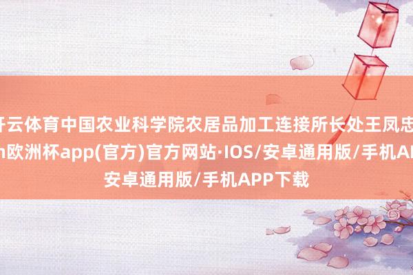 开云体育中国农业科学院农居品加工连接所长处王凤忠-kaiyun欧洲杯app(官方)官方网站·IOS/安卓通用版/手机APP下载