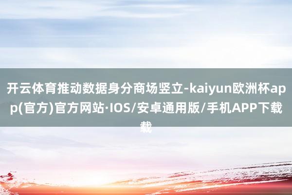 开云体育推动数据身分商场竖立-kaiyun欧洲杯app(官方