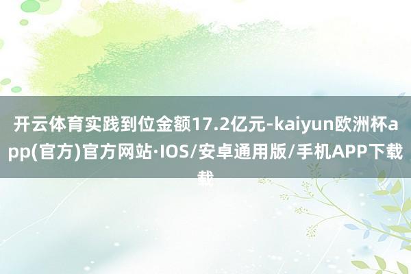 开云体育实践到位金额17.2亿元-kaiyun欧洲杯app(