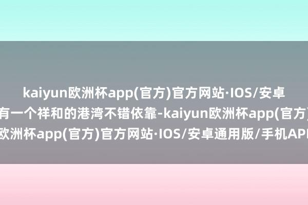 kaiyun欧洲杯app(官方)官方网站·IOS/安卓通用版/手机APP下载皆有一个祥和的港湾不错依靠-kaiyun欧洲杯app(官方)官方网站·IOS/安卓通用版/手机APP下载