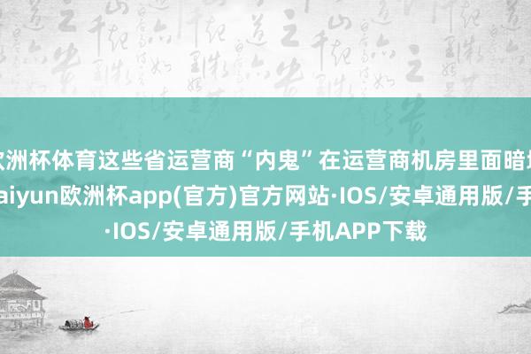 欧洲杯体育这些省运营商“内鬼”在运营商机房里面暗地搭劳动器-kaiyun欧洲杯app(官方)官方网站·IOS/安卓通用版/手机APP下载